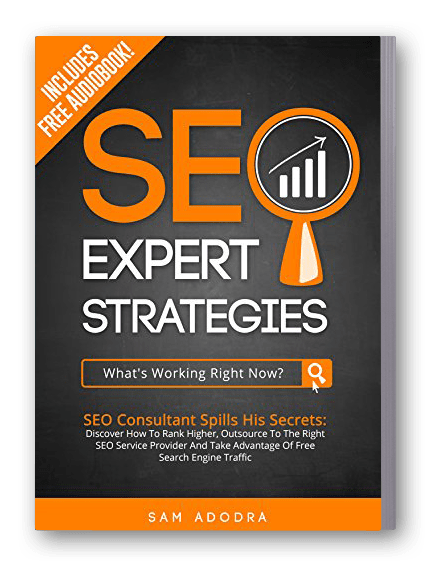 book-02 Ultimate Index - Your ROI driven full service SEO - - 1